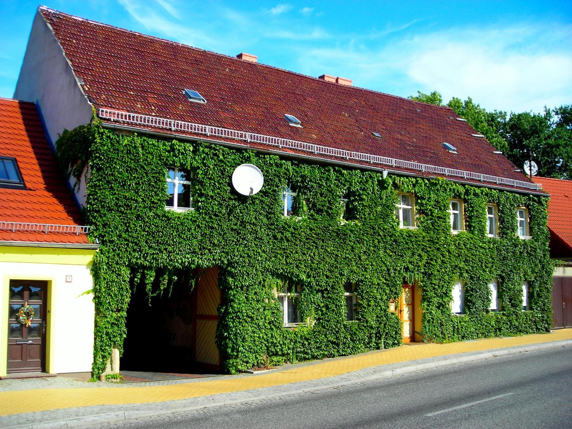 Ferienwohnung Auf Ehem. Alten Bauernhof Liebenwalde Екстер'єр фото